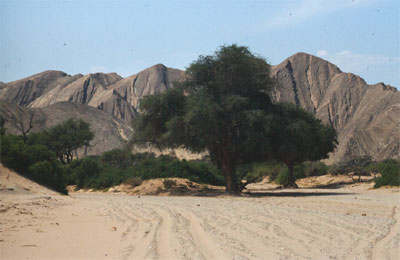 ein ausgetrocknetes Flussbett in Afrika