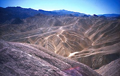 Fans im Death Valley
