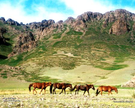 Geierschlucht Mongolei