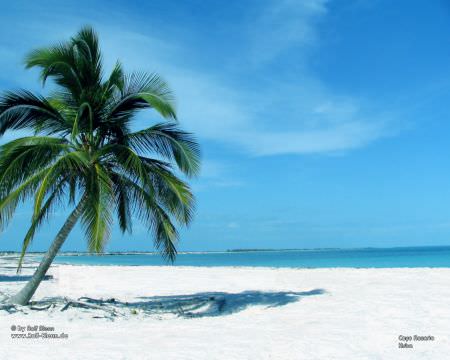 palme-meer-strand