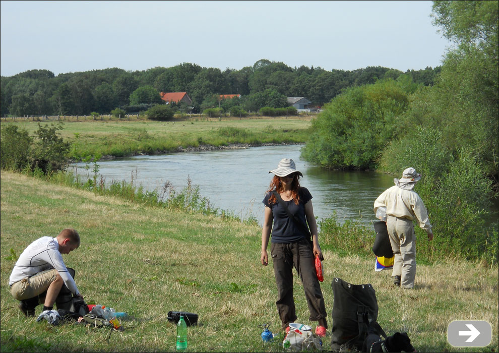 Ufer der Lippe bei Dorsten