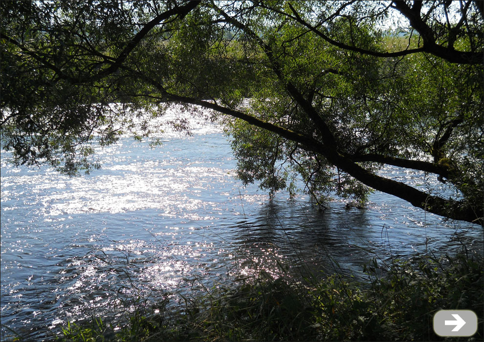 Sonnenlicht spiegelt sich im Fluss