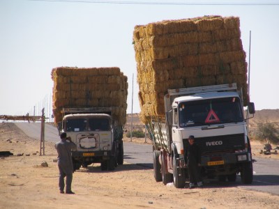 Voll beladene Heuwagen