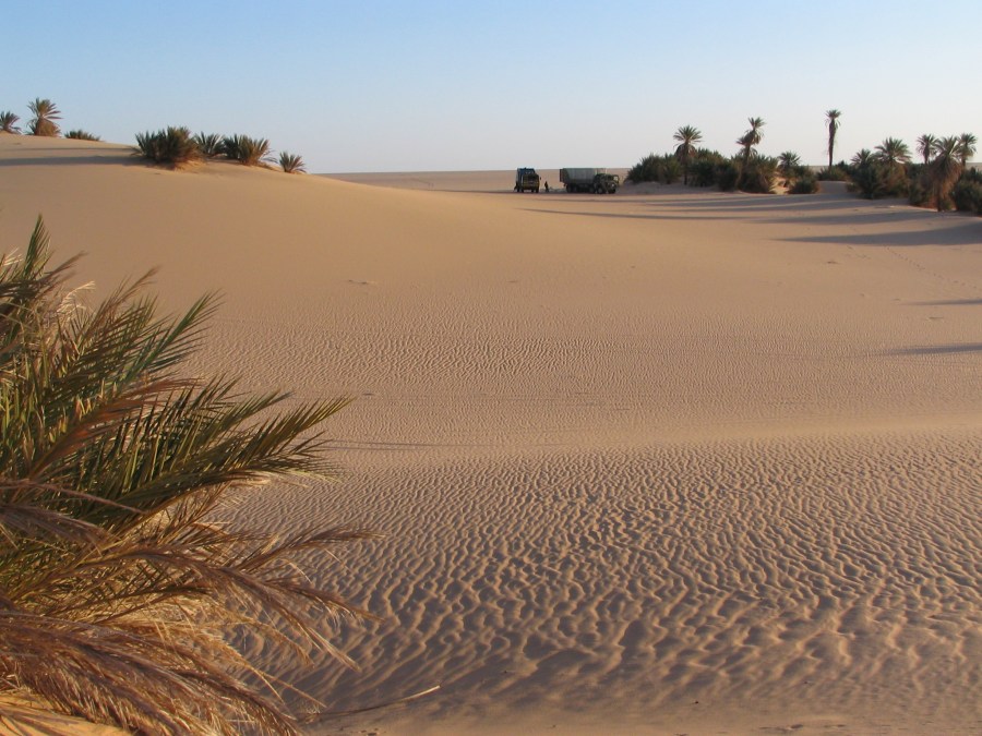 Inmitten des Sandes die Oase