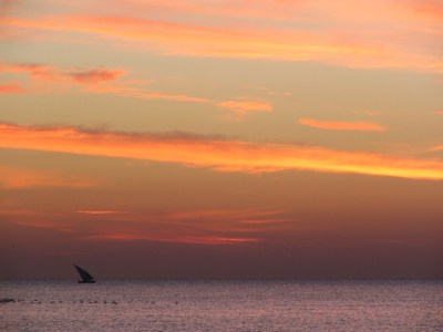 Dau auf dem Mittelmeer