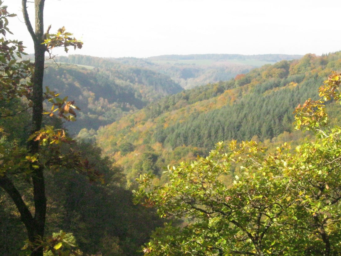 fernblick-steinsberg