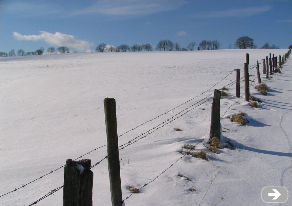 ein Feld im Schnee