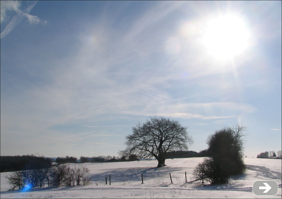 Wintersonne &uuml;ber Schnee